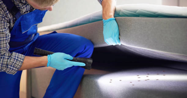 Best Pest Control Treatment  in South Highpoint, FL